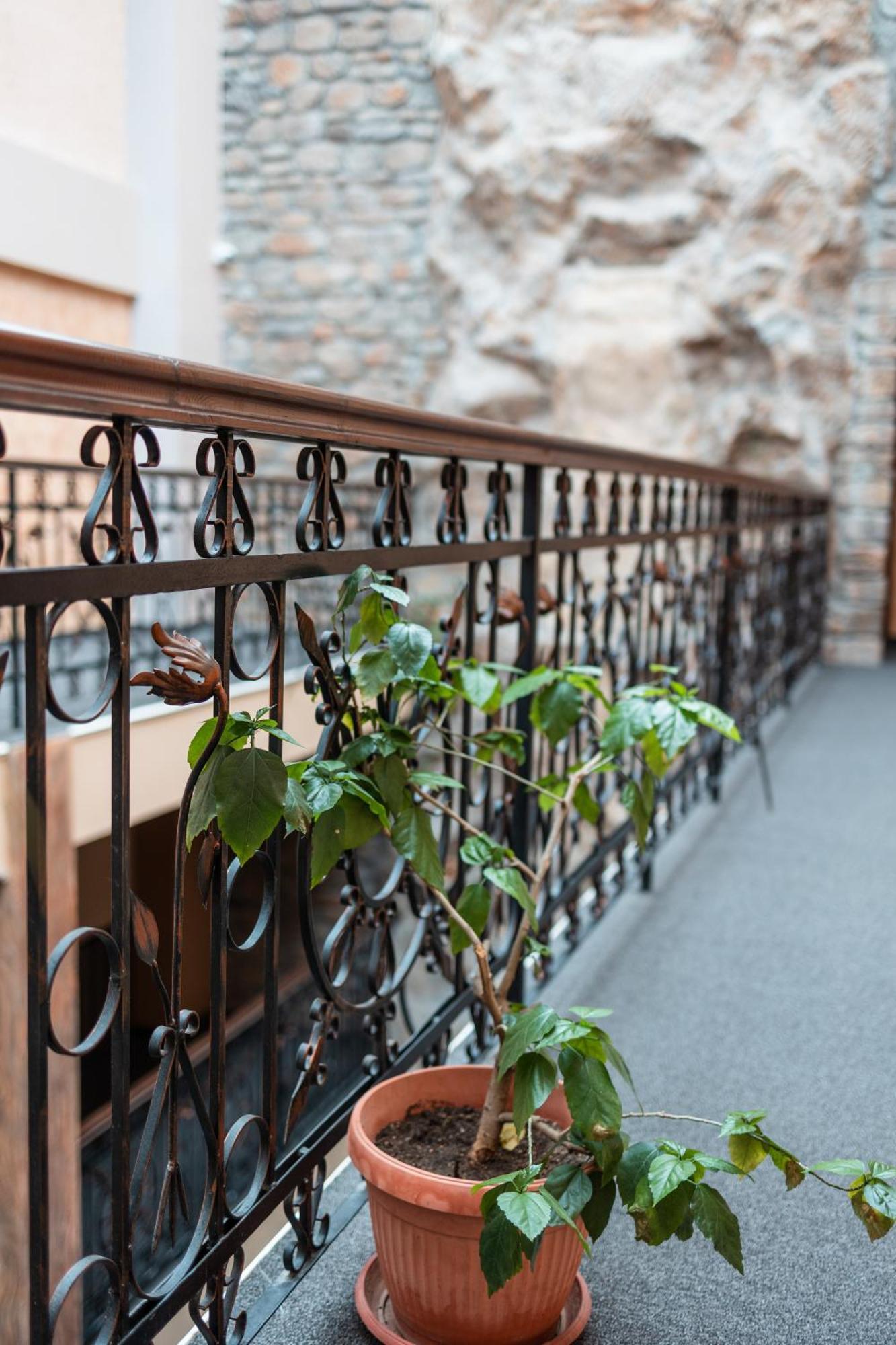 Hotel Neptun Vidin Dış mekan fotoğraf